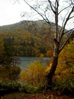 Lake In The Rain